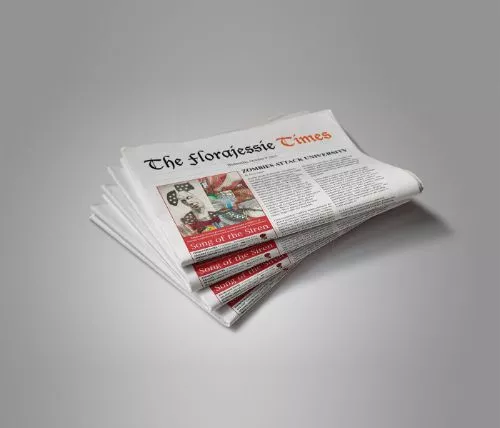 Anilox Roller Paper Industry